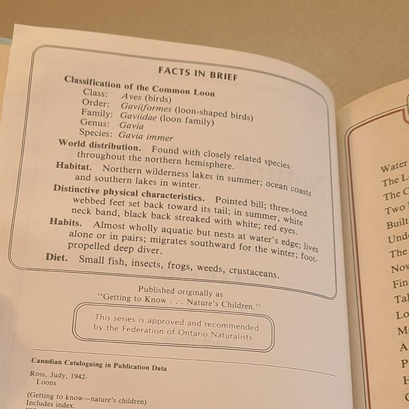 Nature's Children Loons - Picture 5 of 5